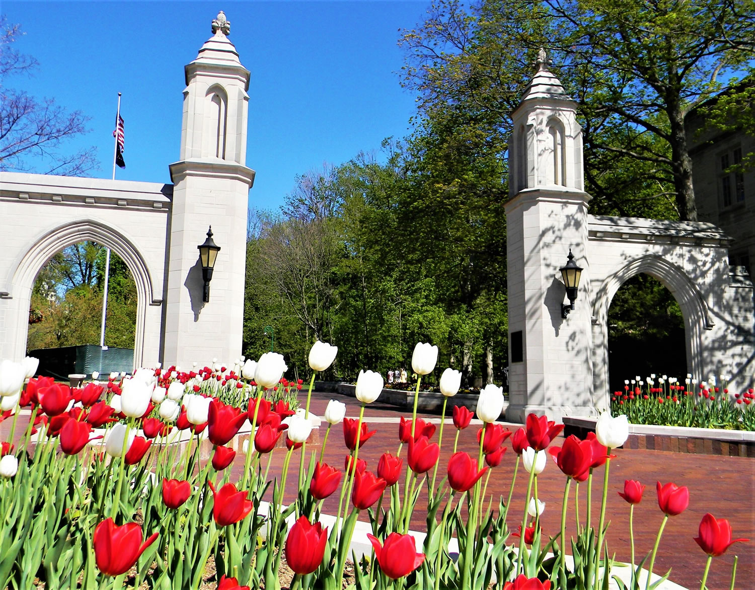 IU Student Housing